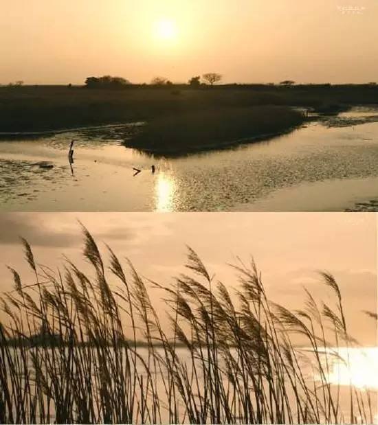 《玻璃芦苇》这部大尺度的日剧其实不止讲畸恋？