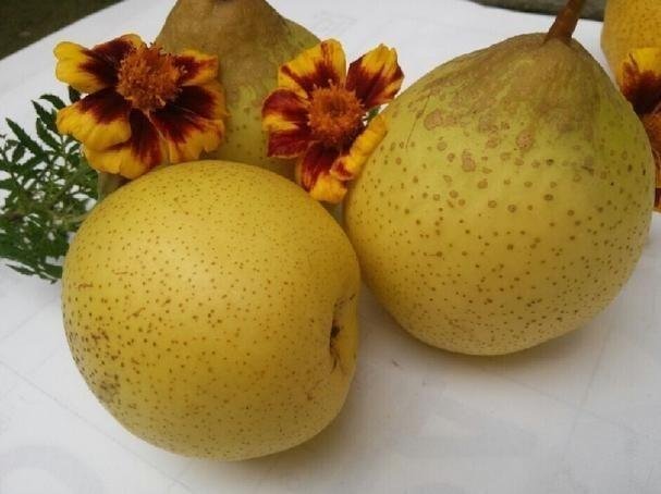 有哪些东西是北京特产？