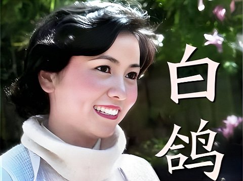 白鸽徐力是什么电视剧