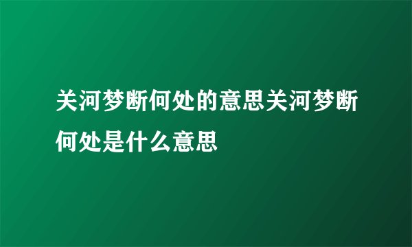 关河梦断何处的意思关河梦断何处是什么意思