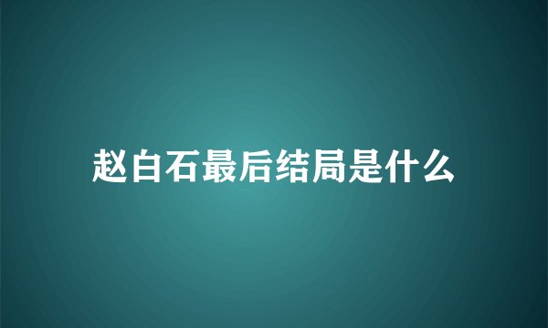 赵白石最后结局是什么