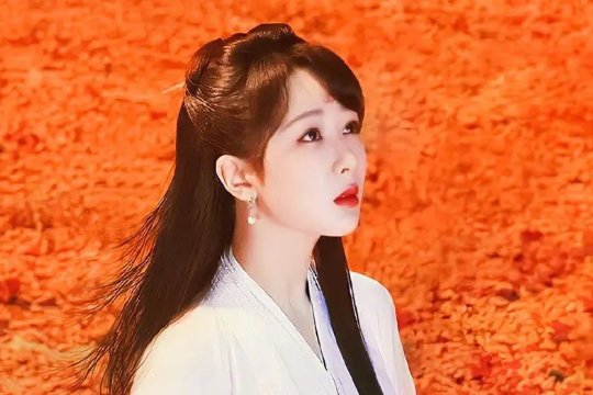 小夭第几集恢复身份