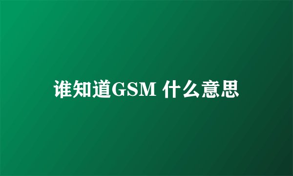 谁知道GSM 什么意思