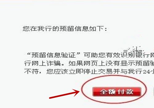 如何在网上使用U盾进行支付？