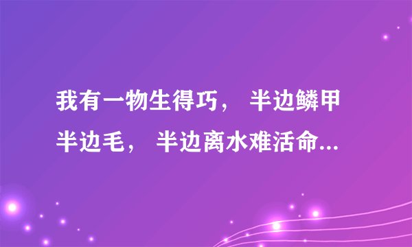 我有一物生得巧， 半边鳞甲半边毛， 半边离水难活命， 半边入水命难保。 ——谜底是啥？ 苏轼看