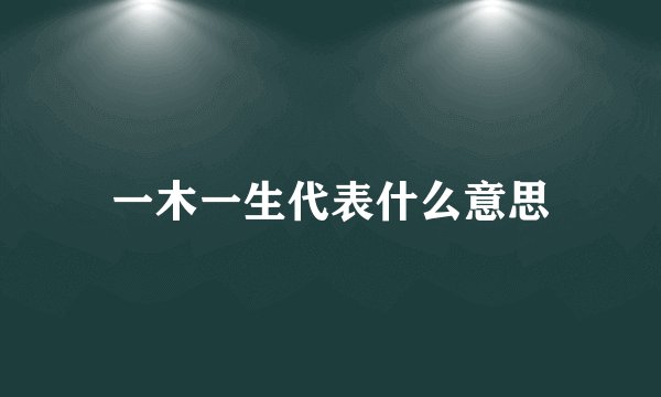 一木一生代表什么意思