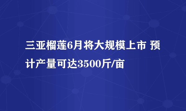 三亚榴莲6月将大规模上市 预计产量可达3500斤/亩