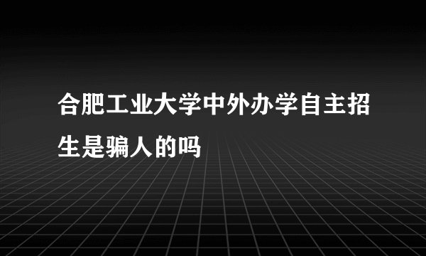 合肥工业大学中外办学自主招生是骗人的吗