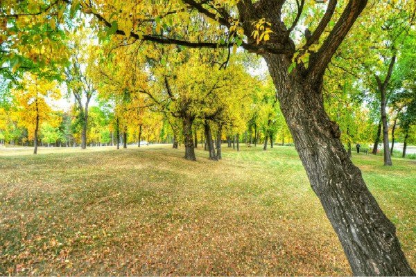 用不必说也不必说单是造句。