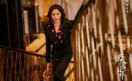 爱的二八定律更新时间