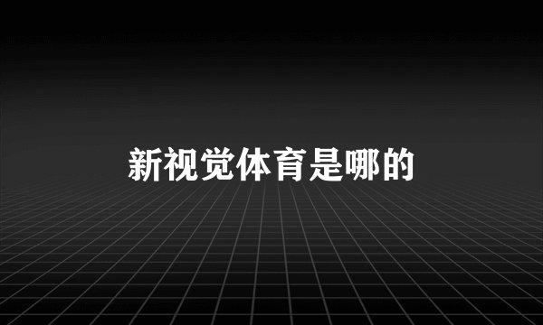 新视觉体育是哪的