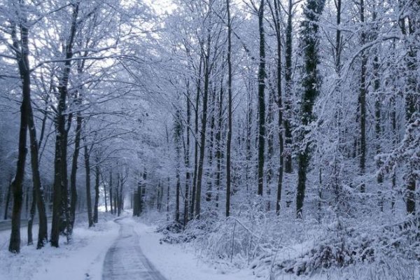 冻煞的意思解释