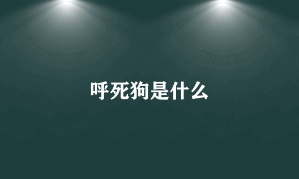 呼死狗是什么