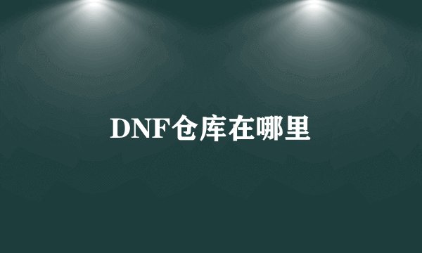 DNF仓库在哪里