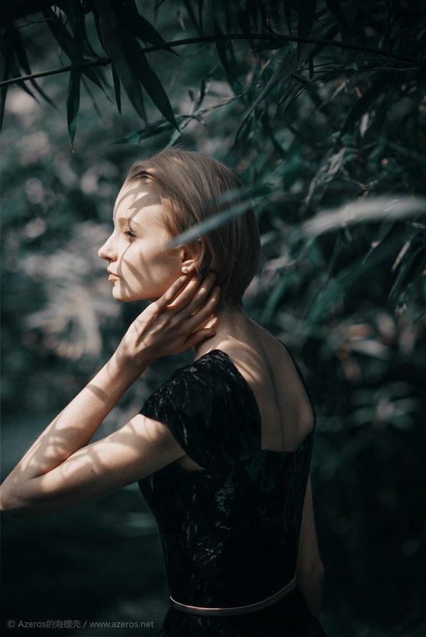 浪子回头不稀罕的作者简介