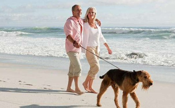 259758代表了什么爱情暗语