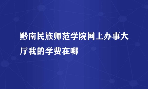 黔南民族师范学院网上办事大厅我的学费在哪