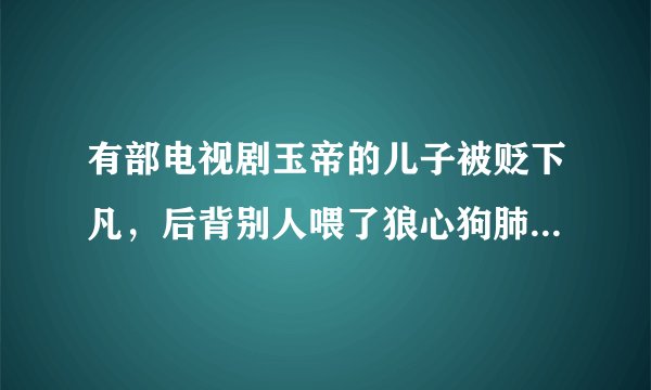 有部电视剧玉帝的儿子被贬下凡，后背别人喂了狼心狗肺汤，请问电视剧名字叫什么来着？