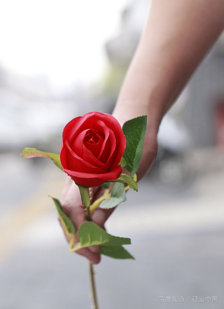 老公备注552是什么意思？