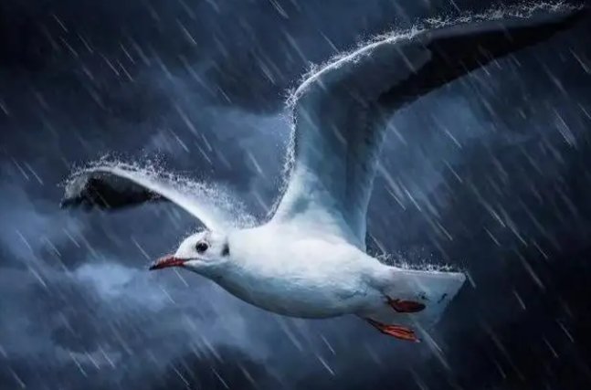 高尔基的《海燕》的寓意是什么？