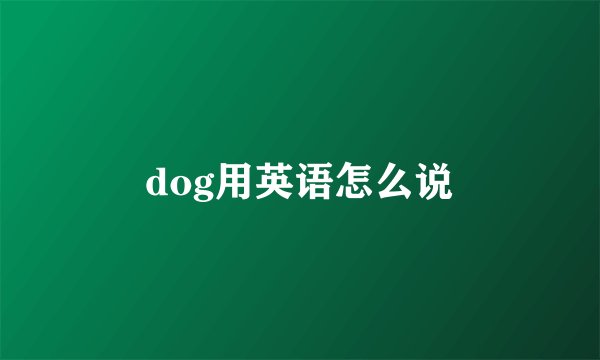 dog用英语怎么说