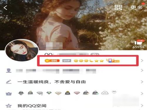 qq达人标志怎么显示