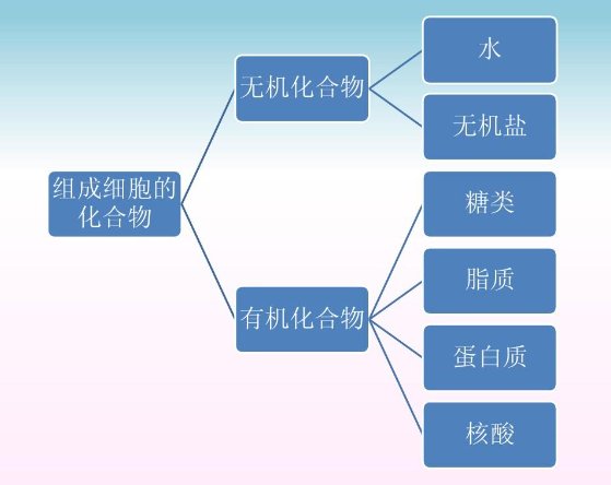 化学中的无机是指什么?