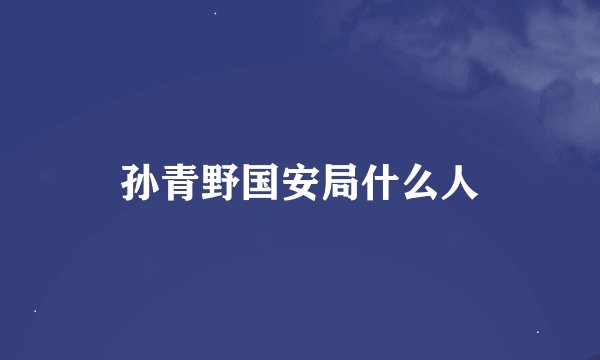孙青野国安局什么人