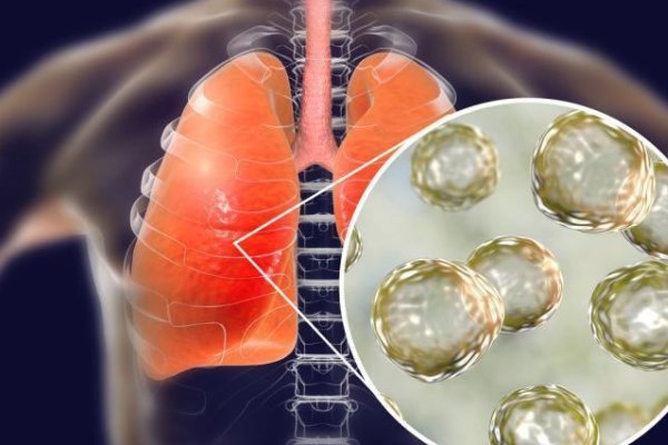 又一诺奖得主为中国发声，怎么看待他对中国的声援？