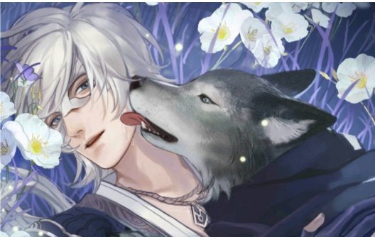 燕无归喜欢什么礼物