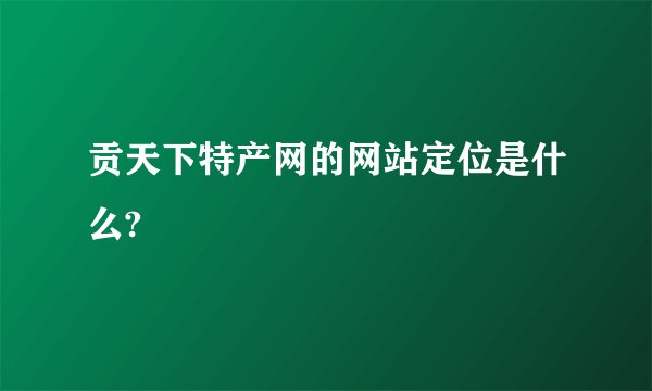 贡天下特产网的网站定位是什么?