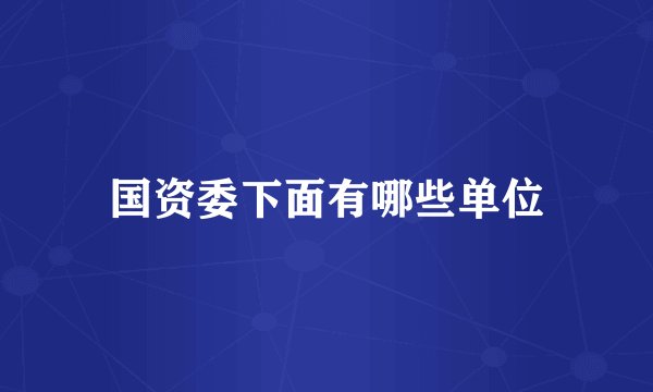 国资委下面有哪些单位