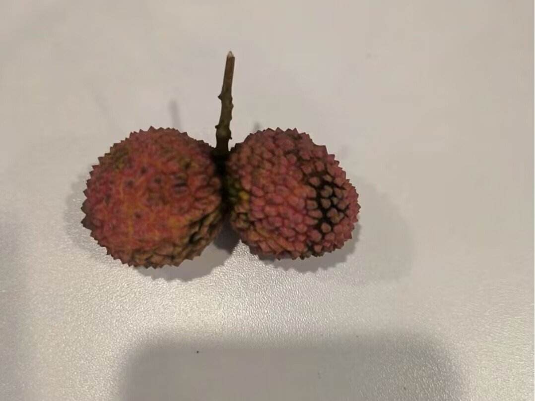 什么水果不能上供