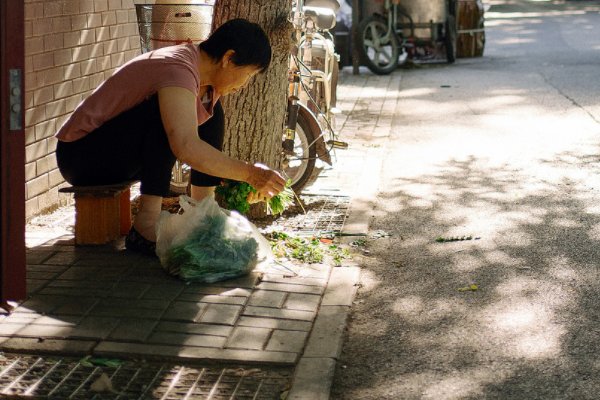 生活中的谚语有哪些