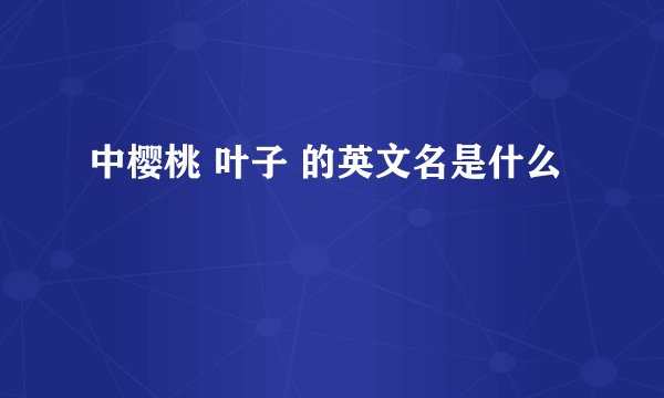中樱桃 叶子 的英文名是什么