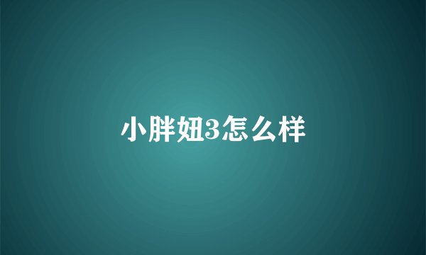 小胖妞3怎么样