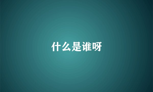 什么是谁呀