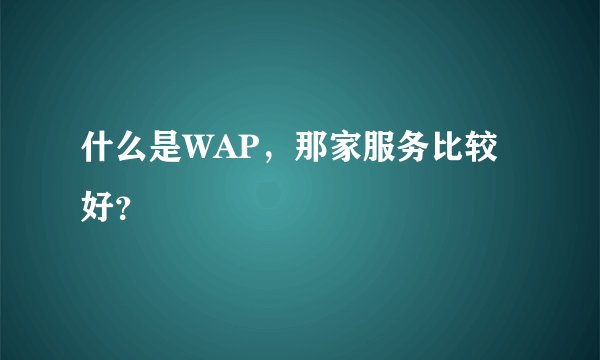什么是WAP，那家服务比较好？
