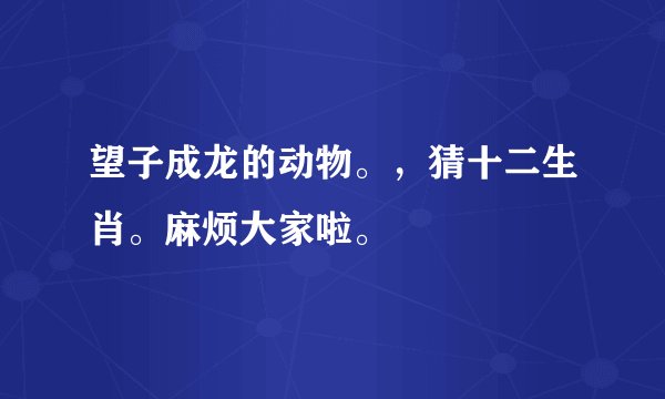 望子成龙的动物。，猜十二生肖。麻烦大家啦。