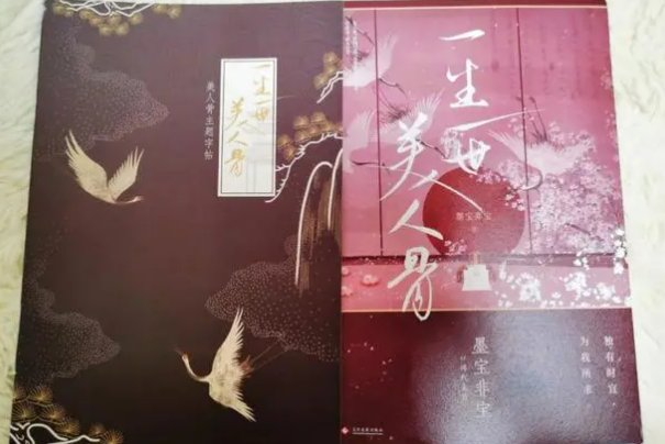 周生如故小说叫什么名字啊？