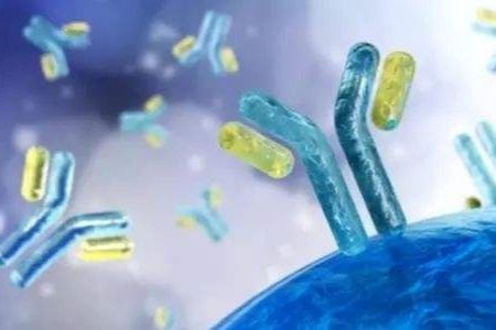 两周出现10种病毒变异株，它们到底从哪来？危险性如何？