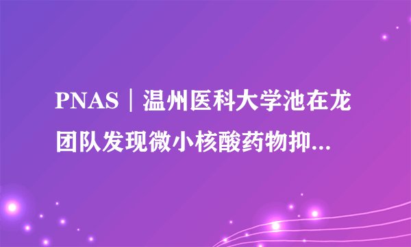 PNAS︱温州医科大学池在龙团队发现微小核酸药物抑制眼部新生血管形成的表观调控机制