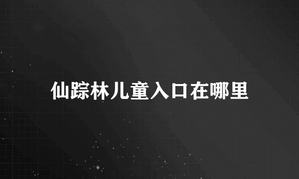 仙踪林儿童入口在哪里