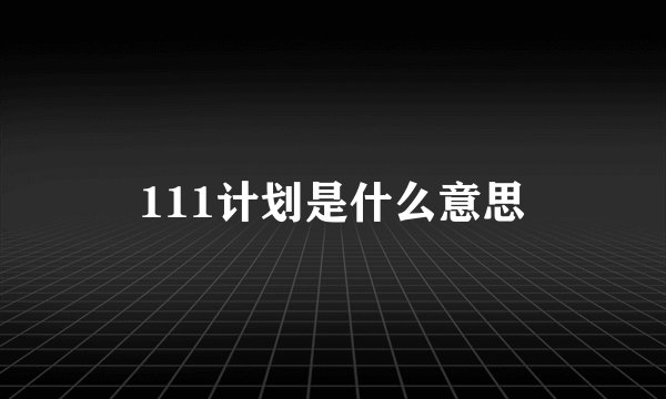 111计划是什么意思