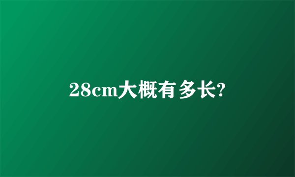 28cm大概有多长?