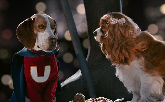 超能特工狗里面的小狗是什么品种狗