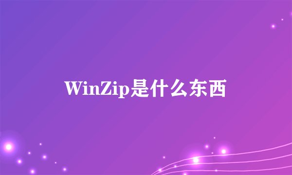 WinZip是什么东西