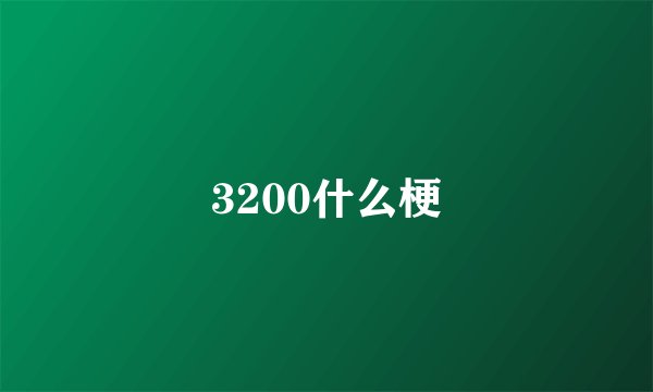 3200什么梗