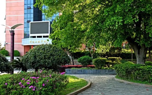 2023年安徽高考状元是谁?