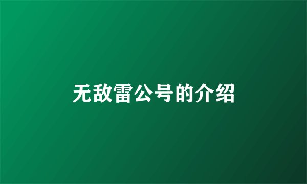 无敌雷公号的介绍